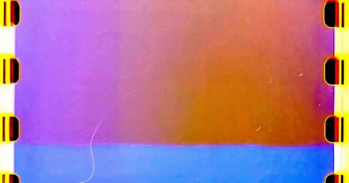 Saç Dökülmesine Karşı En Etkili Şampuanlar ve Doğru Seçim İpuçları