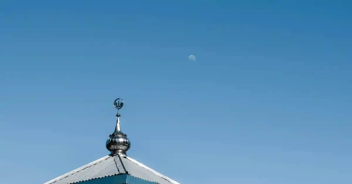 Saç Dökülmesine Karşı En Etkili Serumlar ve Saç Bakım Önerileri