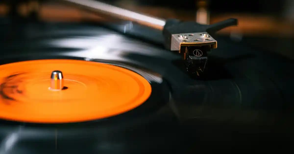 Saç Dökülmesine Karşı En İyi Şampuan Seçimi ve Saç Bakımında Dikkat Edilmesi Gerekenler