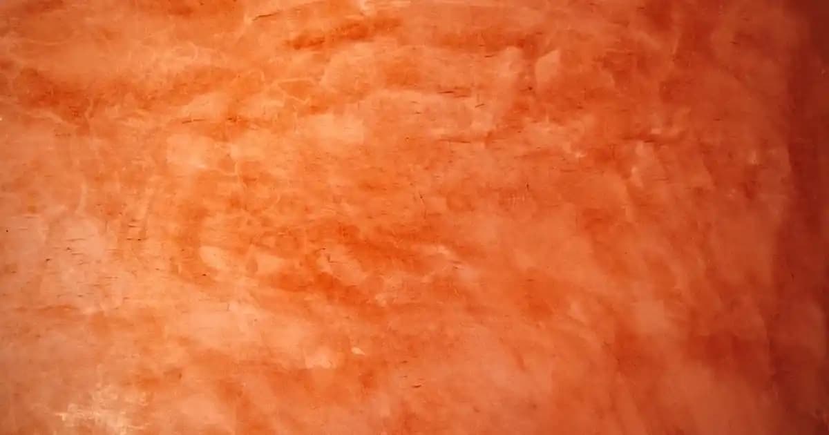 Saç Kaşıntısına İyi Gelen Şampuanlar ve Doğru Seçim Rehberi