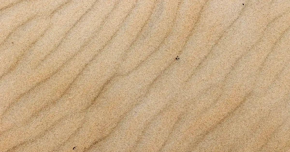 Saç Kökünde Sivilce Nedenleri, Belirtileri ve Etkili Tedavi Yöntemleri