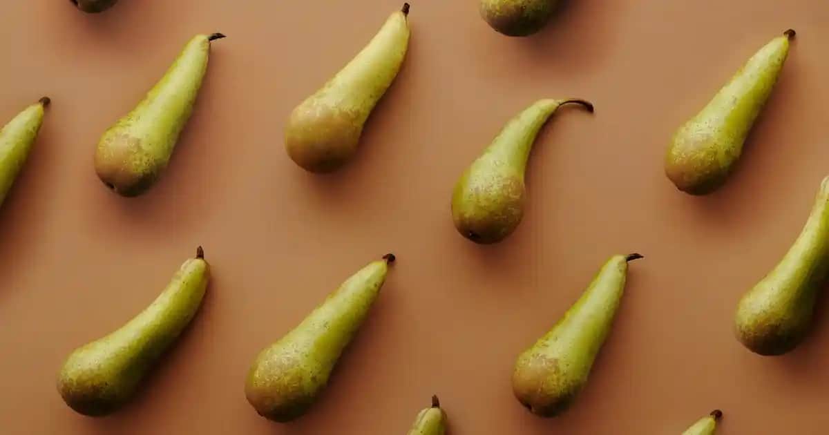 Saç Renginde Yeni Trend: Çikolata ve Karamel Tonlarıyla Doğal ve Sıcak Görünüm