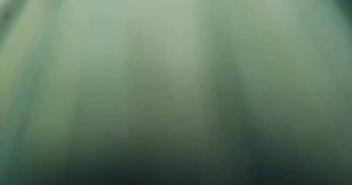 Saç Sağlığını Destekleyen Biotin Haplarının Doğru Kullanımı ve Faydaları