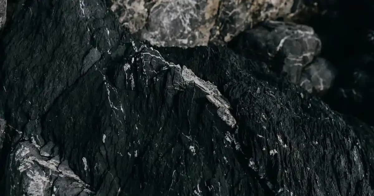 Saç Şekillendirme Ürünleri Rehberi: Çeşitleri, Seçimi ve Kullanım İpuçları