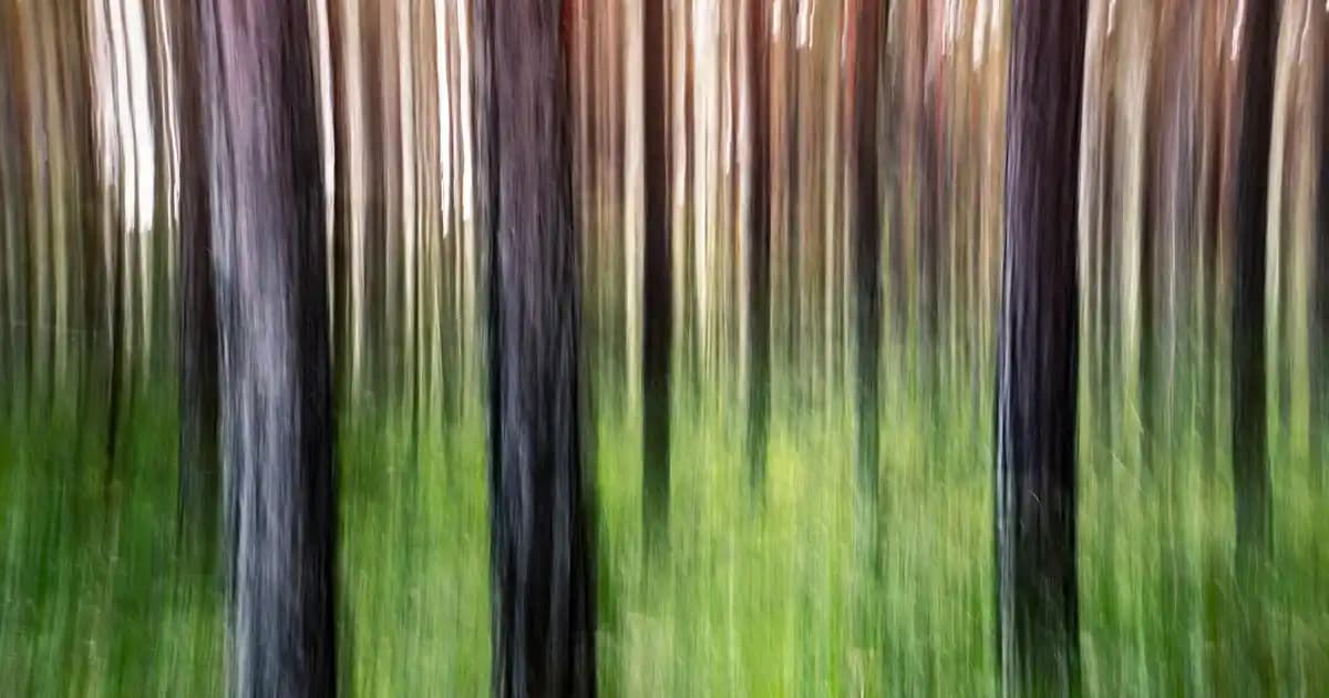 Saçlarınız İçin En İyi Keratin Maskeleri ve Kullanım İpuçları