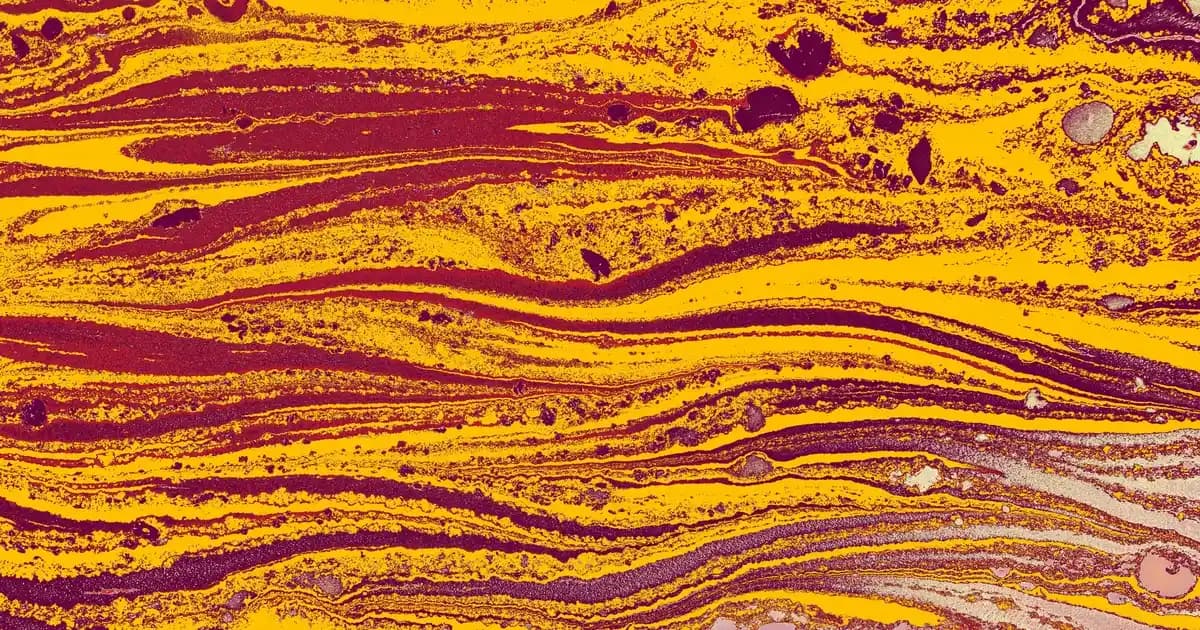 Saçta Bakır Tonları: Çeşitleri, Uygulama ve Bakım Yöntemleri