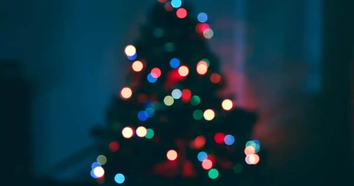 Saçta Bit Nasıl Oluşur, Yaşam Döngüsü ve Etkili Temizlik Yöntemleri