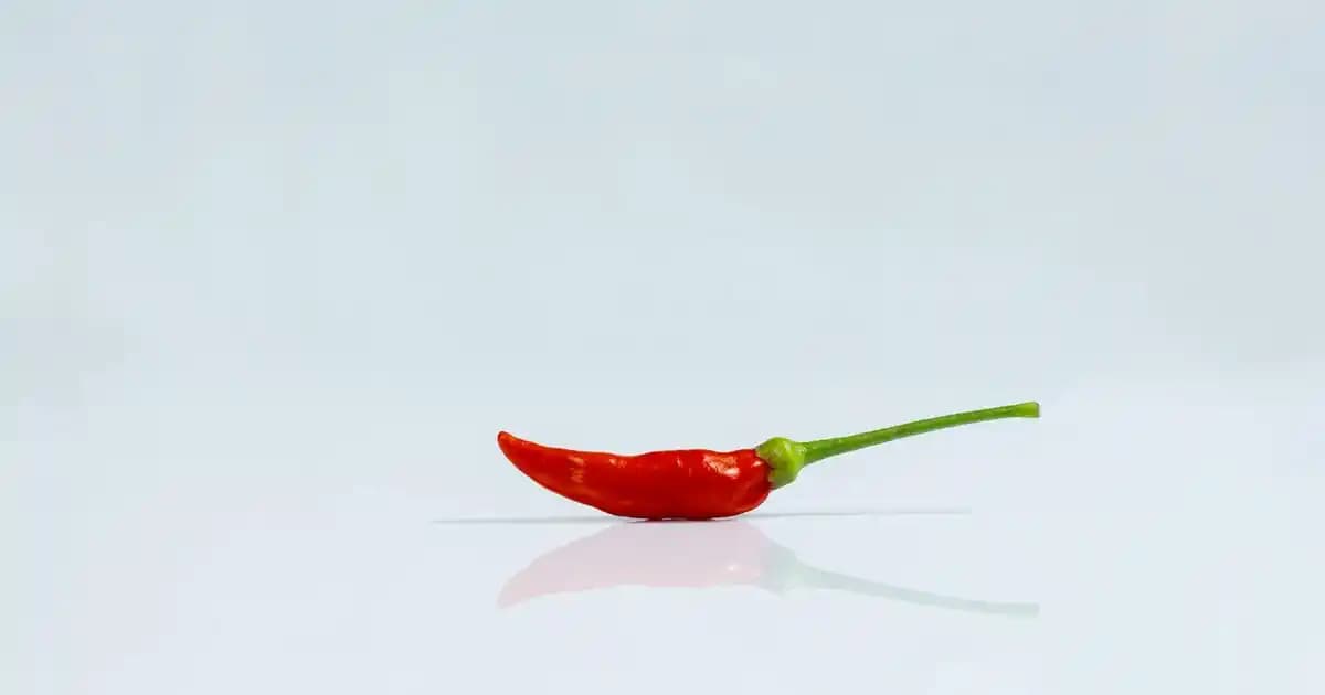 Sade Makyaj Nasıl Yapılır? Doğal ve Şık Bir Görünüm İçin Adımlar ve İpuçları