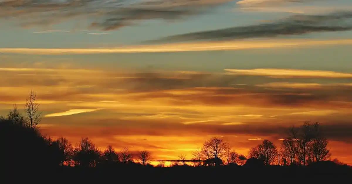Seohwabi Kozmetik Markası ve Ürünleri: Doğal ve Teknolojik Yaklaşımlar