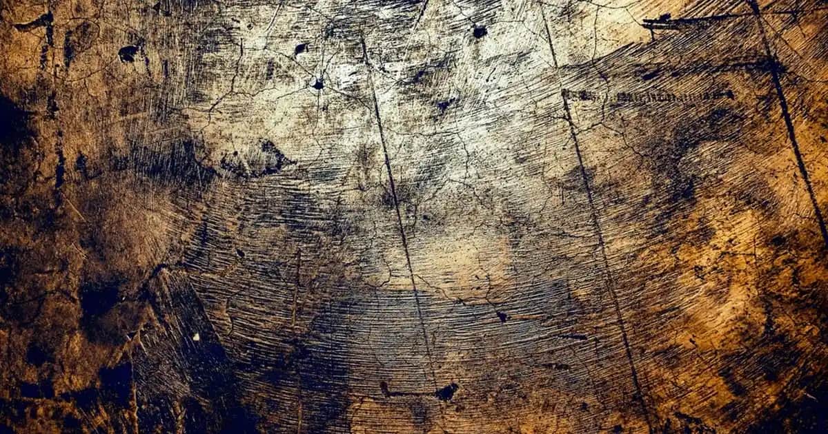 She Vec Kremleri ile Cilt Bakımında Yenilikçi ve Çok Yönlü Çözümler Sunan Marka