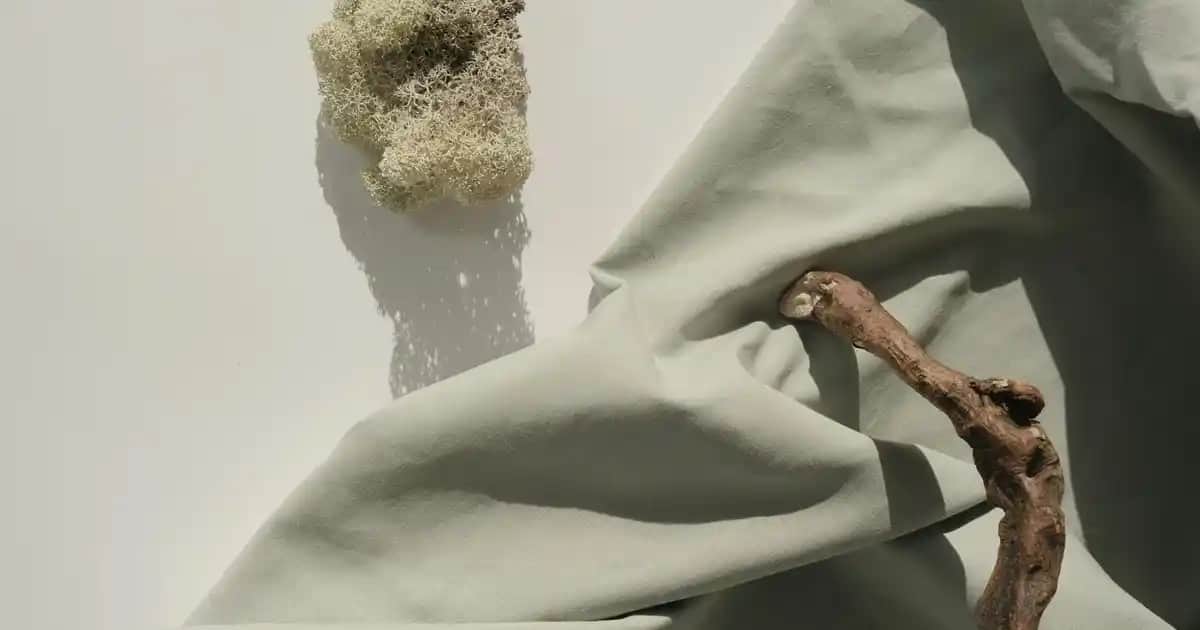 Shea Yağı Yüze Sürülür mü ve Doğru Kullanım Yöntemleri Nelerdir