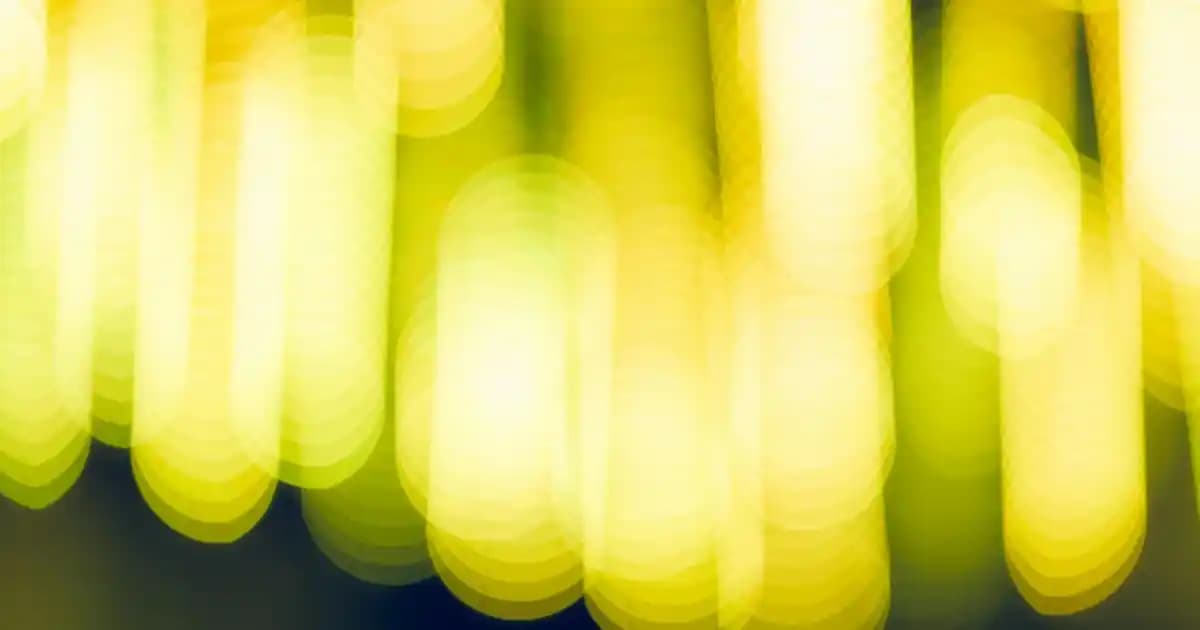 2025'te Sinoz No:16 Miracle Oil ile Güzelliğinizde Devrim Yaratın