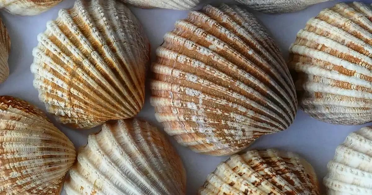 Sistein Nedir? Kozmetik ve Sağlık Alanındaki Önemi ve Faydaları