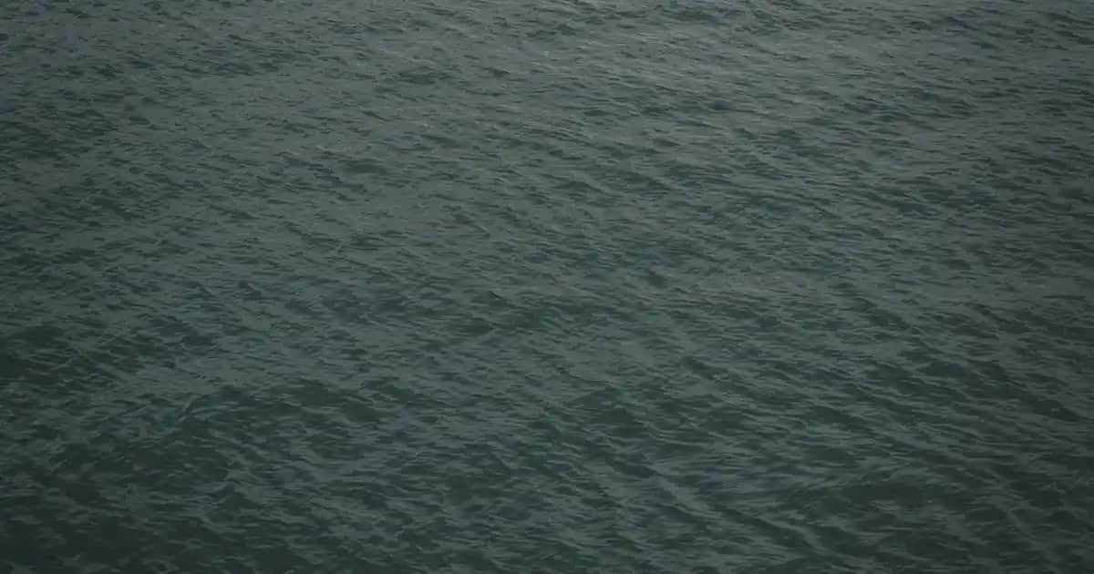 Solante Güneş Koruyucu Ürünleri: Güvenilir ve Yüksek Performanslı Güneş Koruma Çözümü