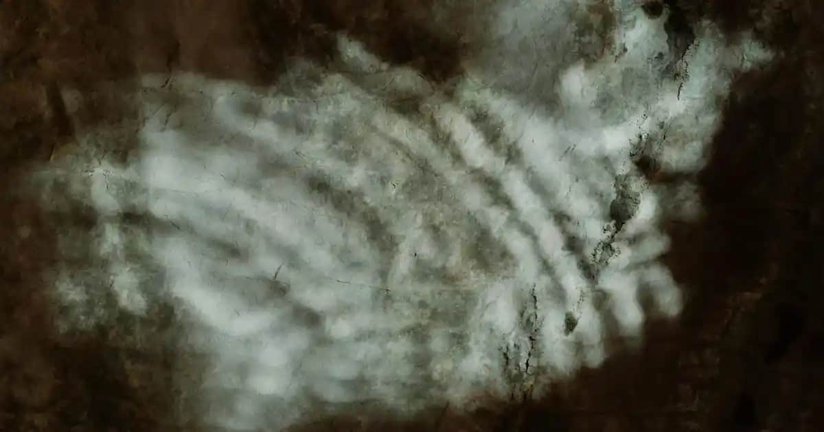 Solgar Psyllium: Doğal Lif Kaynağı ve Kozmetik Faydalı Kullanım Alanları