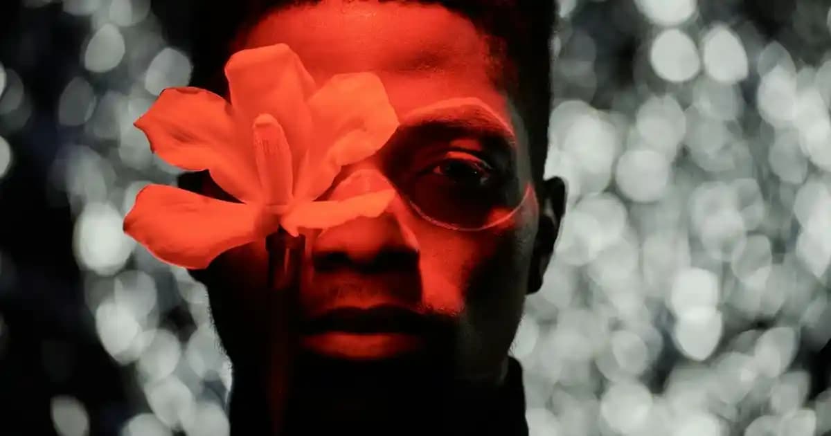 2025'te Saç Bakımında Devrim: Tangle Teezer Islak Saç Taraklarıyla Tanışın