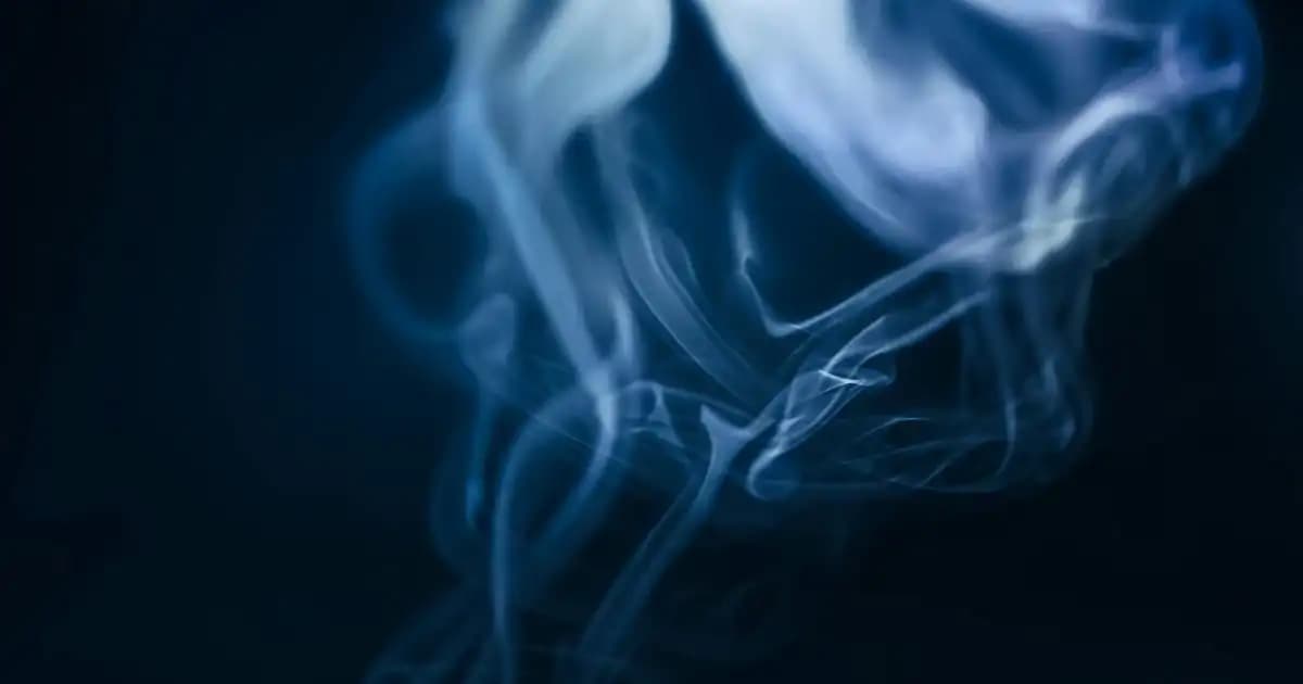 Taşdelen Bölgesinde Güvenilir Kozmetik Ürünleri ve Garanti Koşulları Hakkında Bilgi