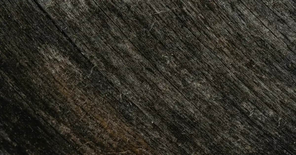 Terleme Önleyici Roll On Ürünleri ile Gün Boyu Serin ve Kuru Kalma Yöntemleri