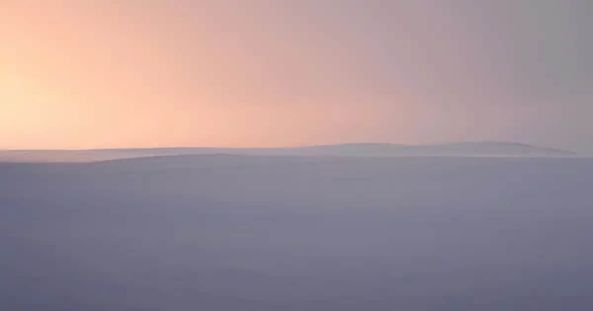 Tırnak Süsleme Kalemleri ile Yaratıcı ve Trend Tasarımlar Yapmanın Yolları