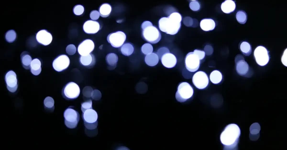 Transparan Eldivenler Moda ve Kozmetikte Yeni Trendler ve Kullanım İpuçları