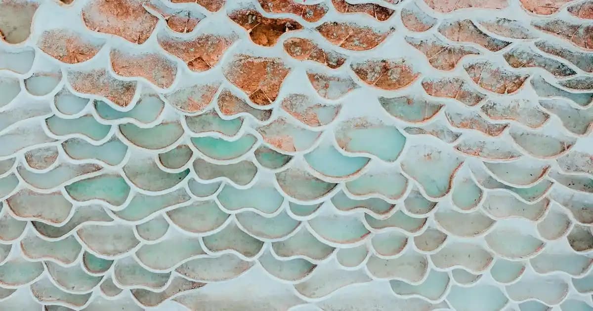 2025'te TTO Thermal Şampuan ile Saç ve Cilt Bakımında Devrim