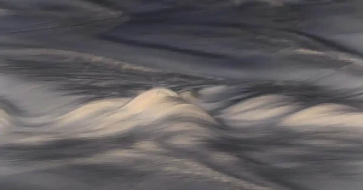 Türk Malı Deodorant Markaları: Güvenilirlik ve Kalite Sunan Yerli Ürünler