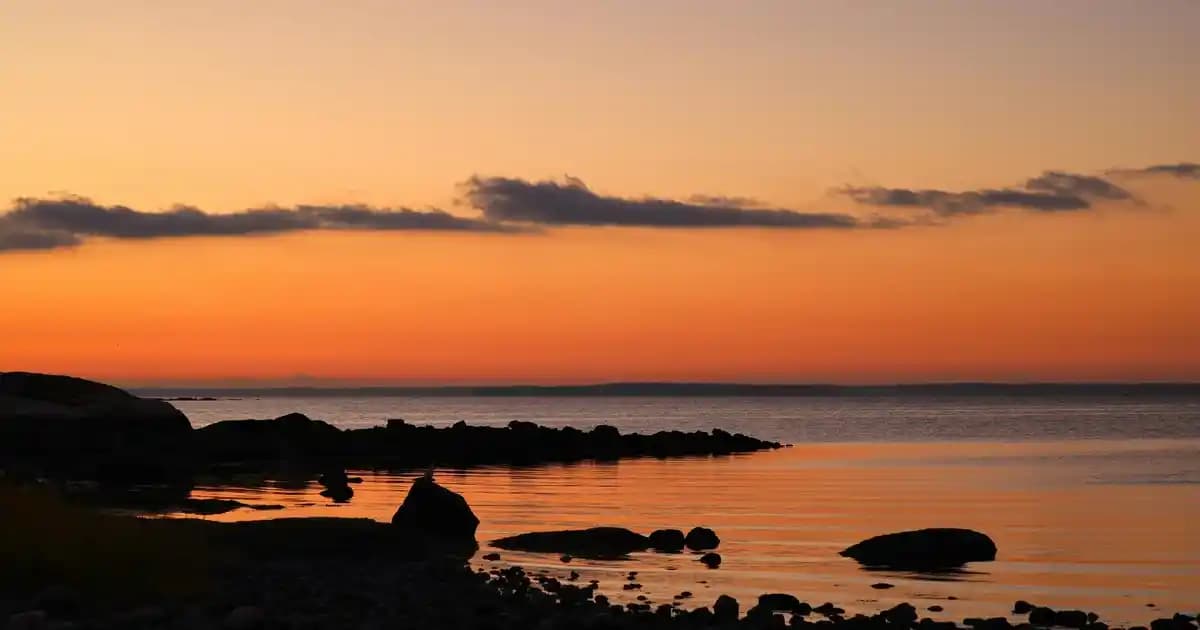 2025'te Tüy Dökücü Kremler Sonrası Sivilce Sorununu Sonlandırmanın 5 Yolu