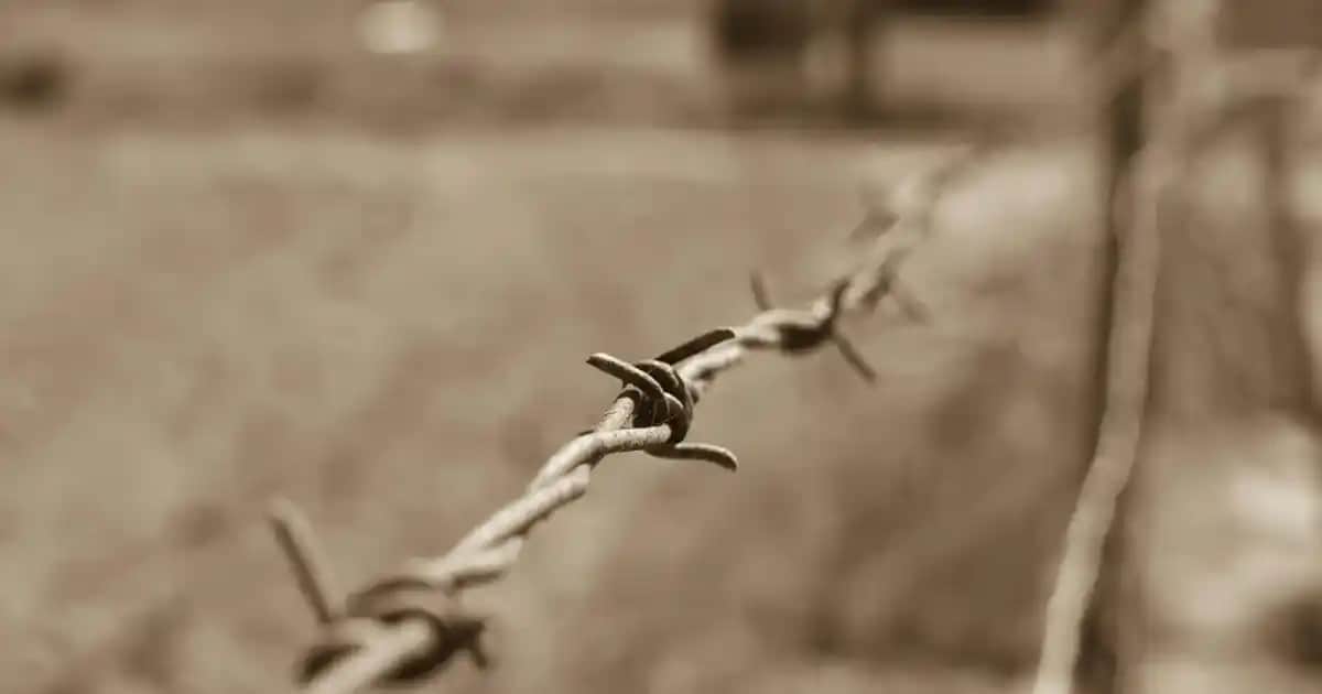 Tuzsuz Şampuanlar: Doğal İçeriklerle Saç Sağlığını Koruyan En İyi Markalar ve Kullanım İpuçları