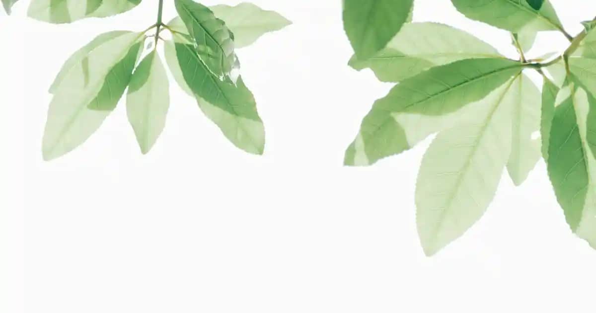 Urban Care Saç Toniği Nedir ve Saç Dökülmesine Karşı Ne İşe Yarar