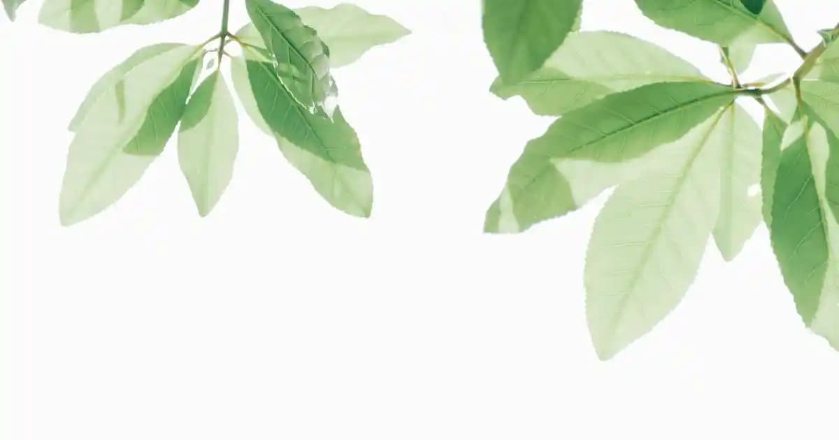 Urban Care Saç Toniği Nedir ve Saç Dökülmesine Karşı Ne İşe Yarar