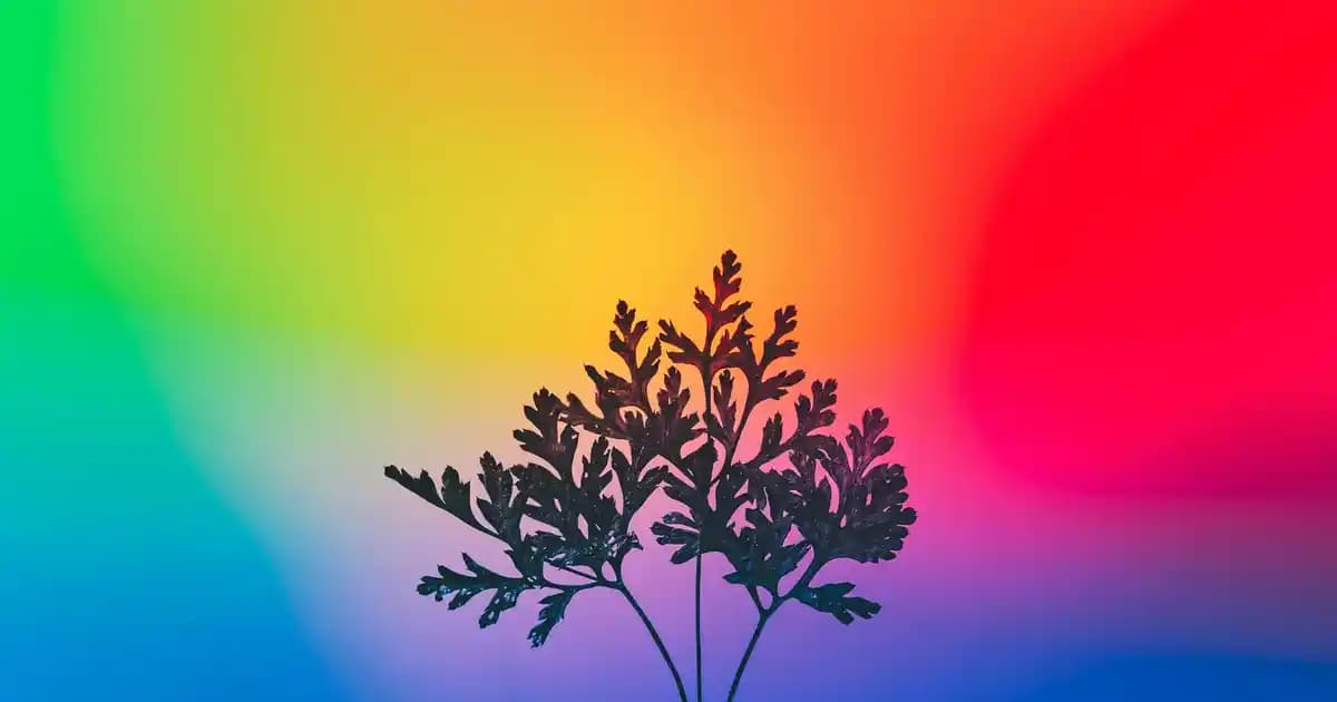 2025'te Uyarıcı Jel Kullanımı: Bilmeniz Gereken 5 Kritik İpucu