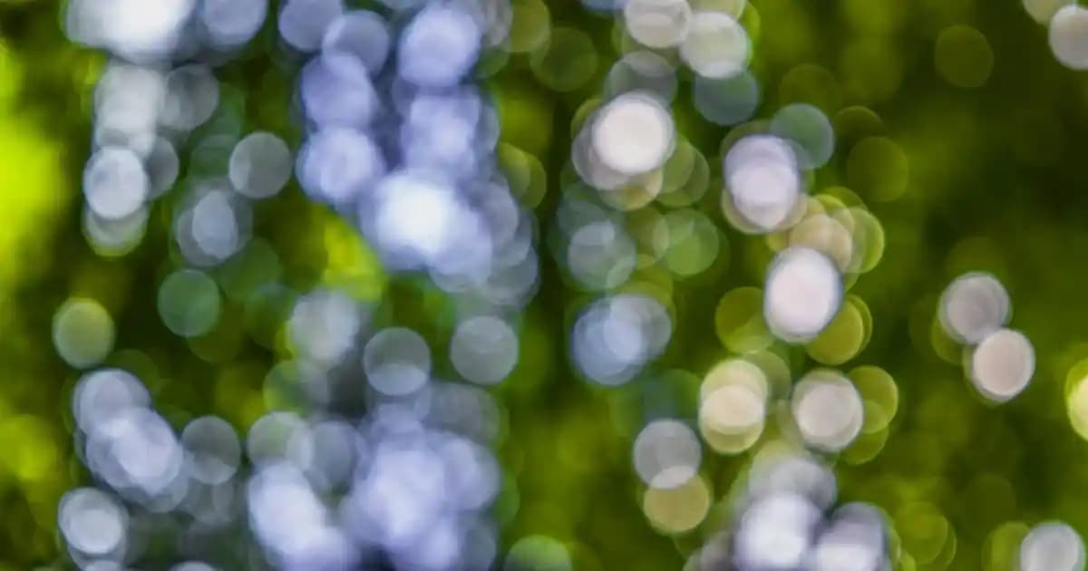 Vichy Gece Kremi: Cilt Yenileme ve Yaşlanma Karşıtı Etkili Gece Bakım Ürünleri