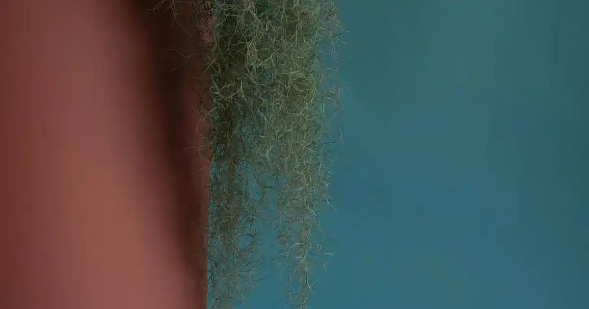 Vinyl Ink 10 Likit Dudak Boyasıyla Parlak ve Uzun Süre Dayanan Makyaj Deneyimi