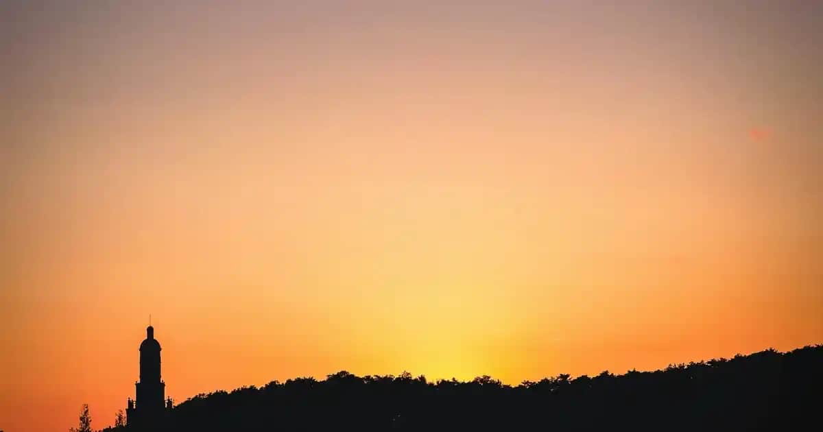 Vücut Peelingi Nedir, Nasıl Yapılır ve Cilt Sağlığını Nasıl Destekler