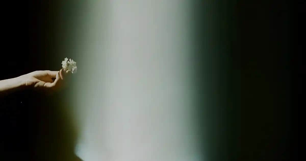 Vücutta Mantar Sorunu ve Etkili Şampuan Çözümleri Hakkında Detaylı Bilgi