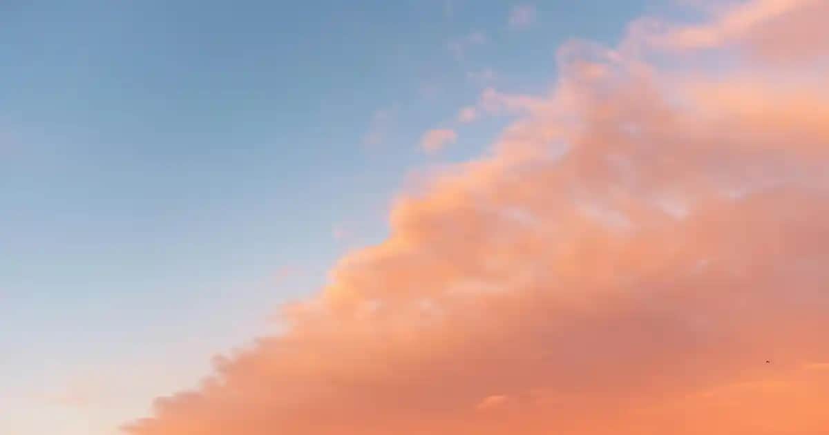 Yağlanan Saçlar İçin En Etkili Şampuanlar ve Doğru Bakım Yöntemleri