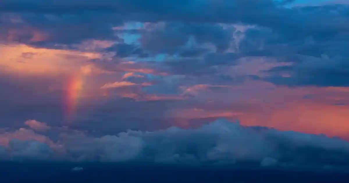 Yağlı Saçlar İçin En Uygun Saç Kremi Seçimi ve Bakım İpuçları