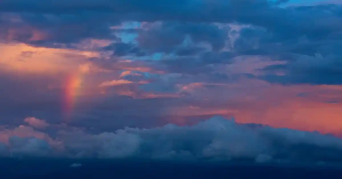 Yağlı Saçlar İçin En Uygun Saç Kremi Seçimi ve Bakım İpuçları