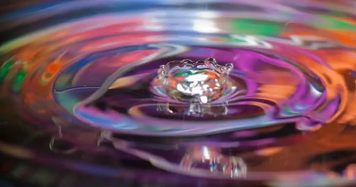 Yağlı Saçlar İçin Farmasi Şampuanları ve Doğru Bakım İpuçları