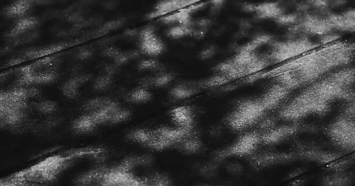 Yeni Doğan Bebekleri İçin Güvenli ve Doğal Şampuan Seçenekleri Rehberi