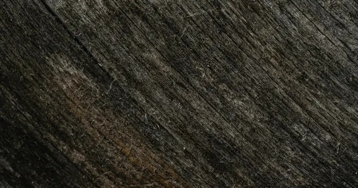 Yüz Hatlarını Belirginleştiren Kontür Teknikleri ve Ürünleri Rehberi