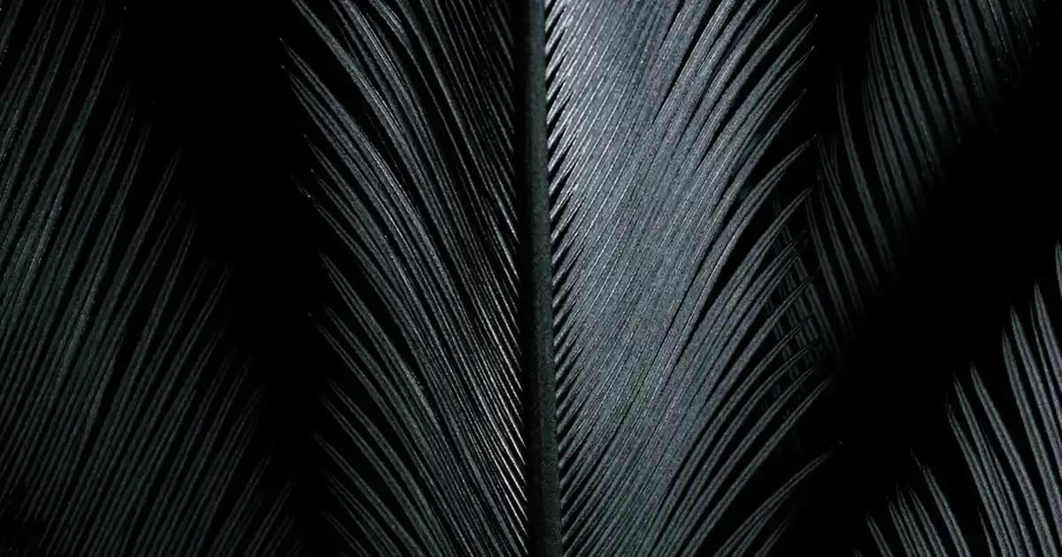 Yüz Kuruluğuna Karşı En Etkili Çözüm ve Doğal Tavsiyeler