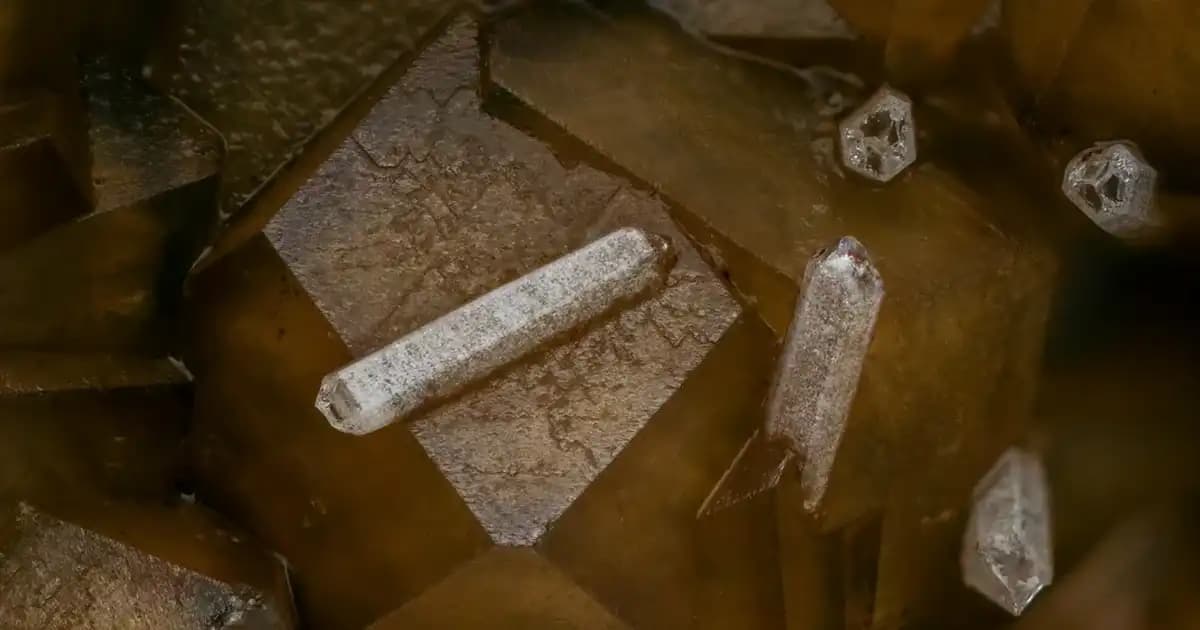 Yüze Sürülen C Vitamini ile Cilt Sağlığını Destekleyen Etkili Bakım Yöntemleri