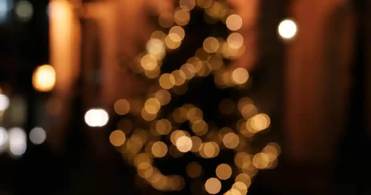 Yves Saint Laurent Libre Intense Parfümü: Modern Kadınlar İçin Güçlü ve Kalıcı Koku