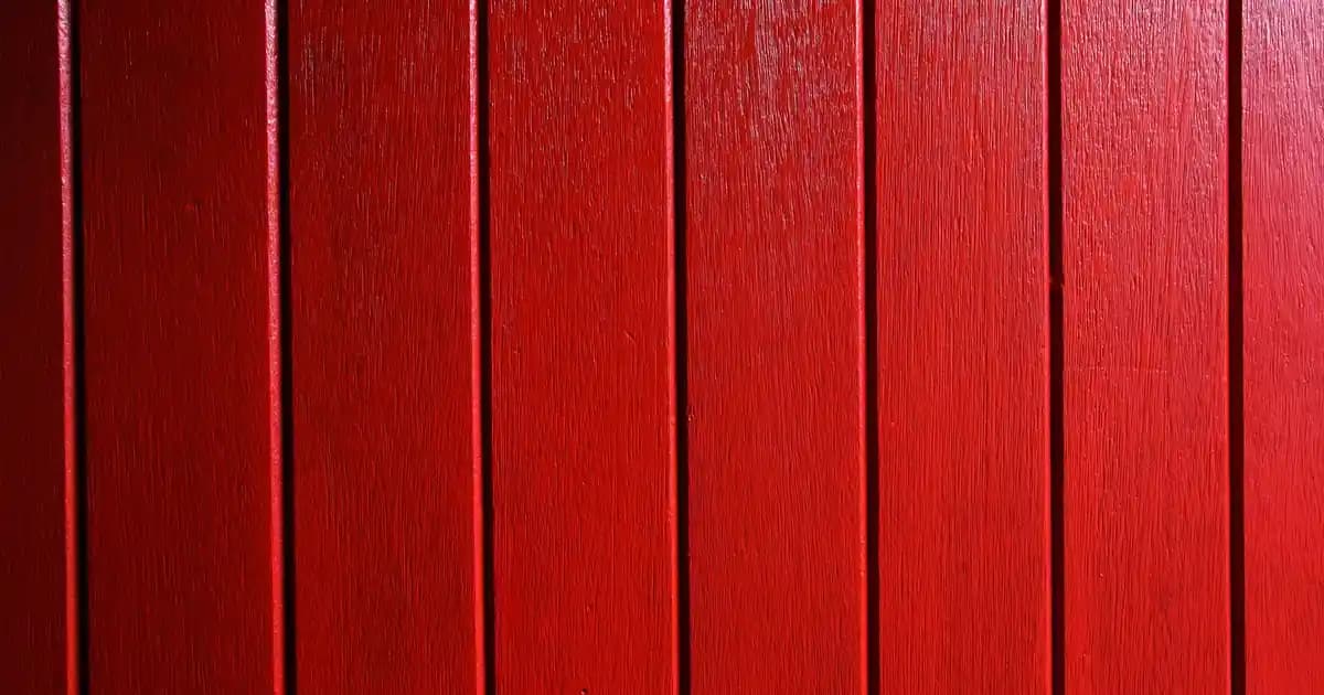 Zade Vital Sambucus Nigra: Doğal Güç ve Güzellik İçin Mürver Takviyesi Çeşitleri ve Faydaları