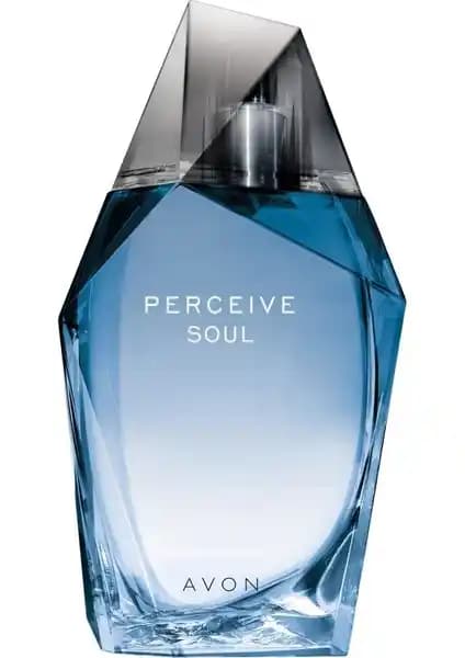 Avon Perceive Soul Erkek Parfümü 100 ml: Hafif ve Ferah Odunsu Koku Deneyimi