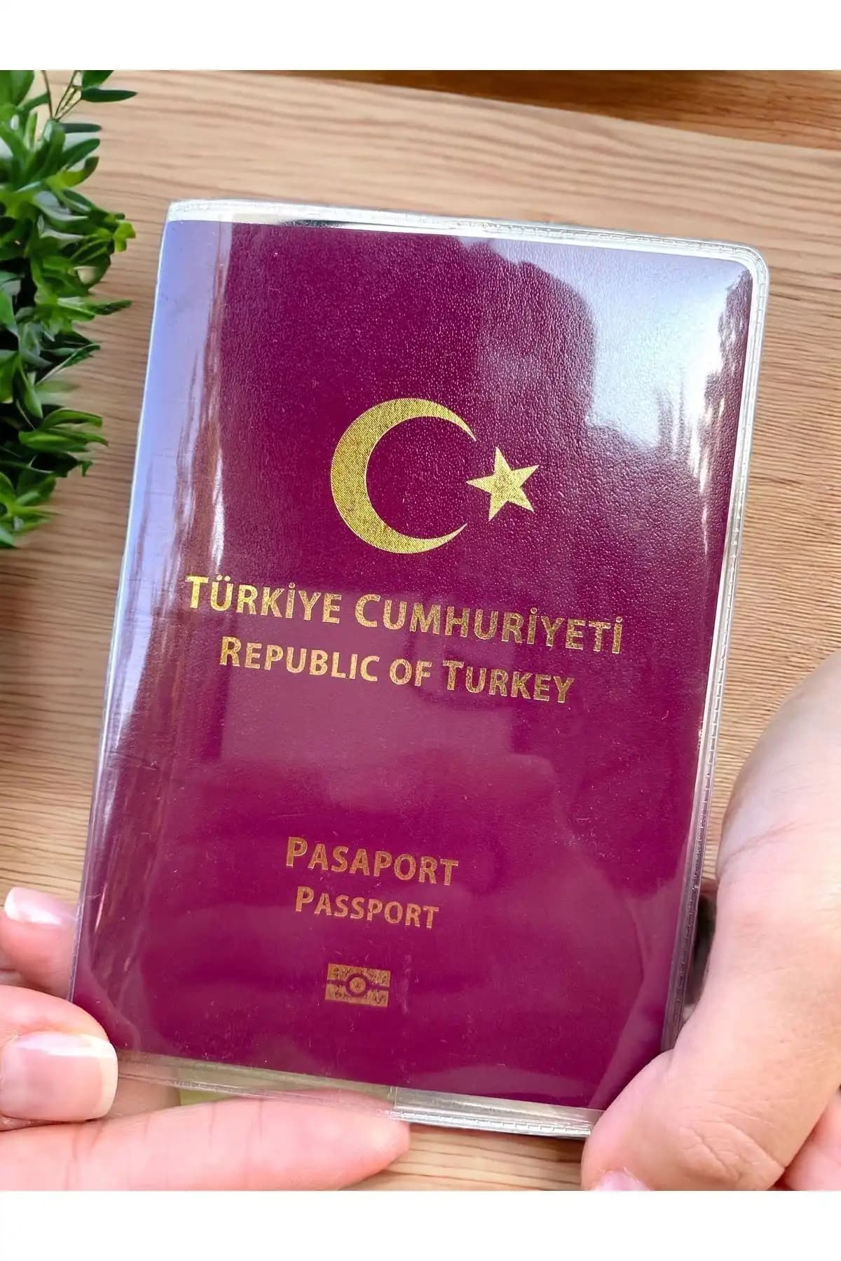 Gempo Premium Şeffaf Su Geçirmez Pasaport Kılıfı Seyahat Güvenliği ve Koruma Çözümü