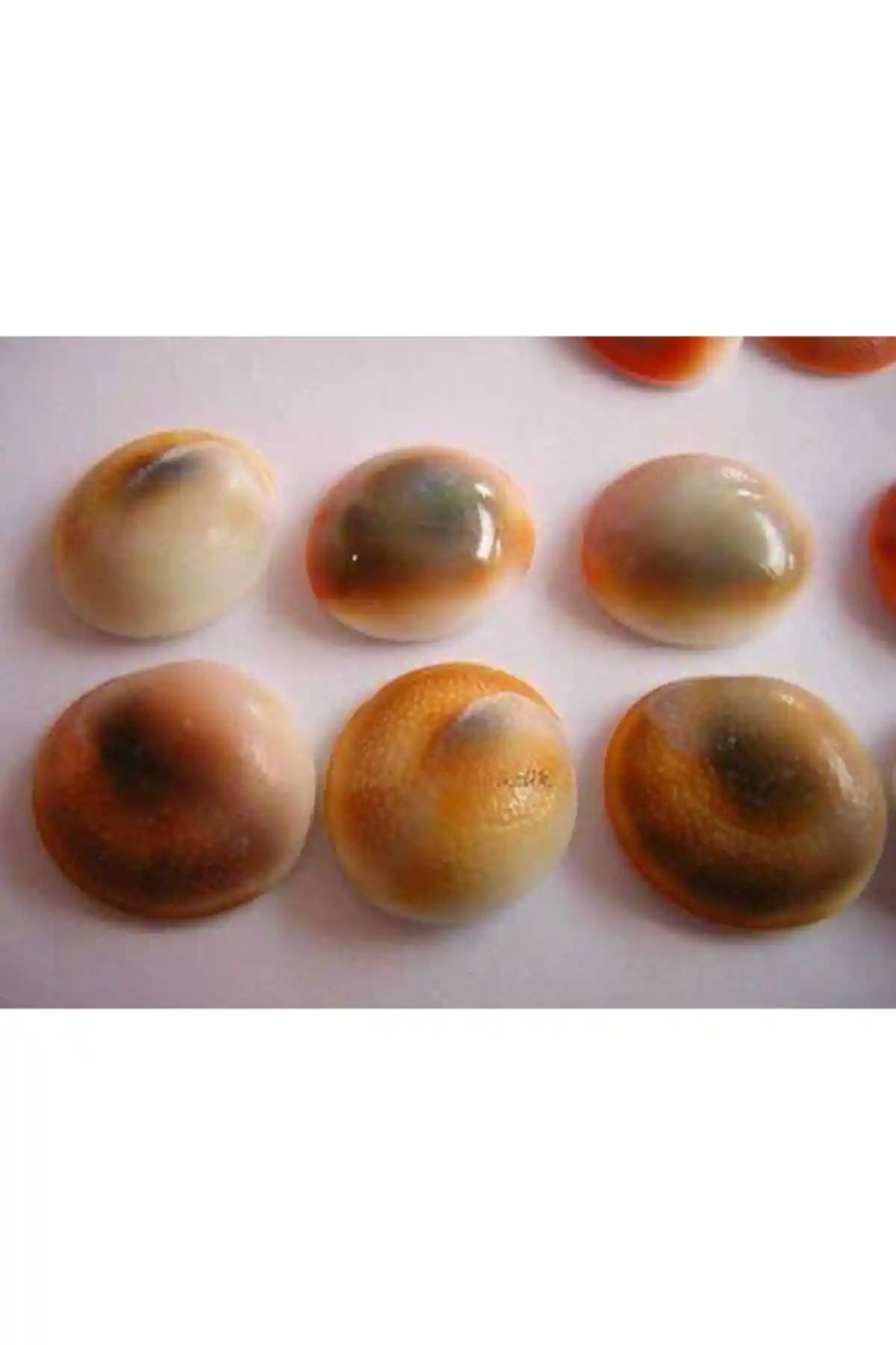 İslam Yayın Yılancık Taşı Seti Doğal Güzellik ve Estetik Tasarımlar İçin Uygun