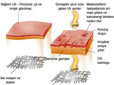 30'lu Yaşlarda Cilt Yaşlanmasıyla Mücadelede Etkili Bakım Rutini ve Uzman Önerileri