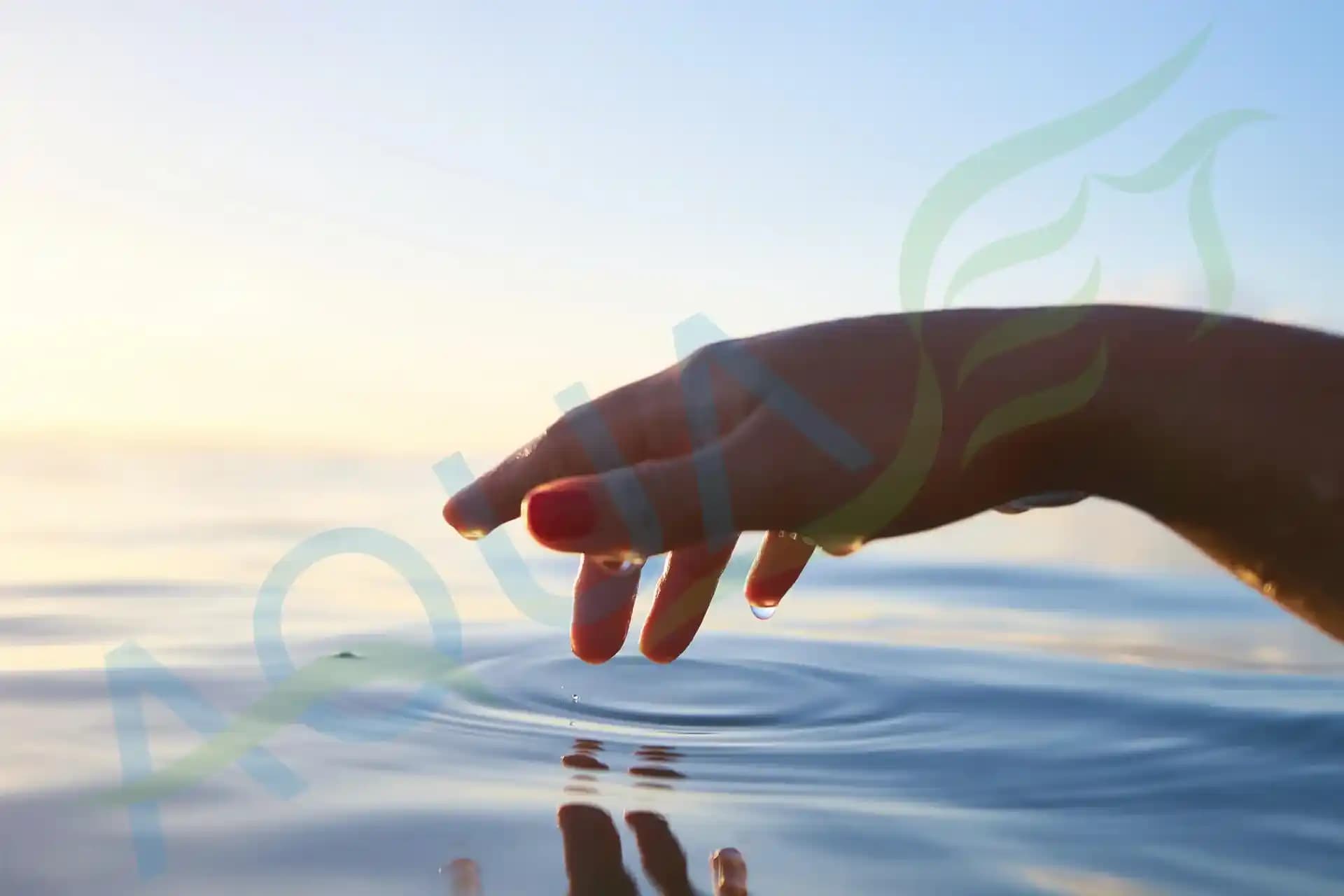 Khelatlayıcı ve Arındırıcı Şampuanların Sert Su Etkisi Altındaki İnce Telli Saçlarda Rolü